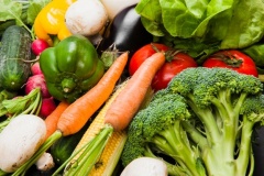 various-fresh-vegetables_23-2147681454