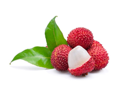 Fruits